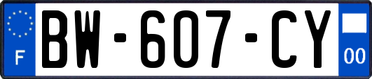 BW-607-CY