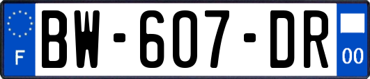 BW-607-DR