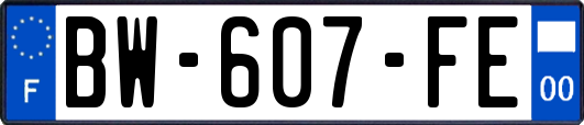 BW-607-FE