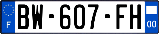 BW-607-FH