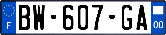 BW-607-GA