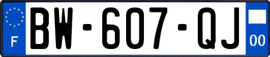 BW-607-QJ