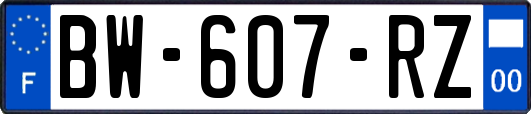 BW-607-RZ