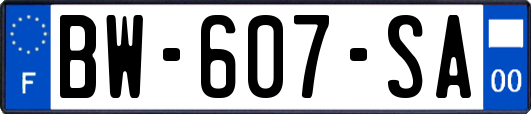BW-607-SA
