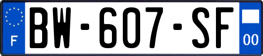BW-607-SF