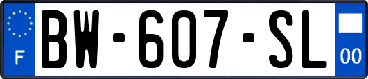 BW-607-SL