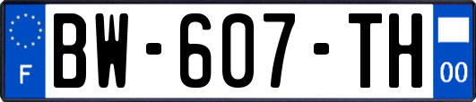 BW-607-TH