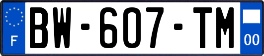 BW-607-TM