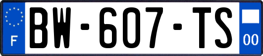 BW-607-TS