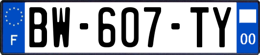 BW-607-TY