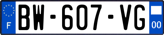BW-607-VG