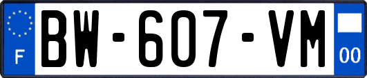 BW-607-VM