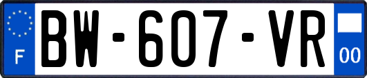 BW-607-VR