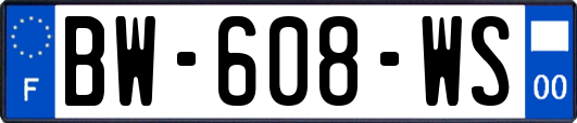 BW-608-WS