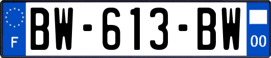 BW-613-BW