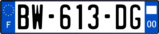 BW-613-DG