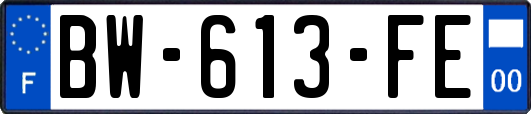 BW-613-FE