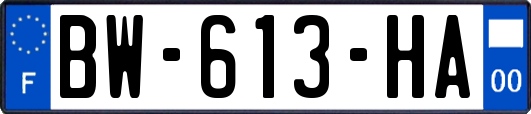 BW-613-HA