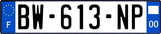 BW-613-NP