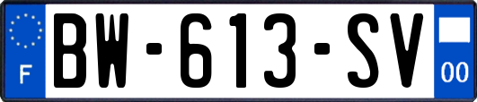 BW-613-SV