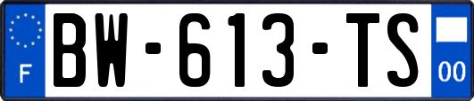 BW-613-TS