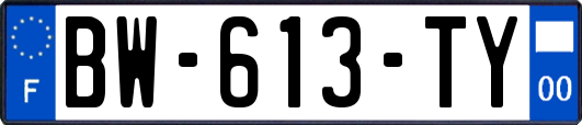 BW-613-TY