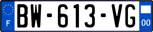 BW-613-VG