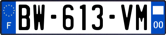 BW-613-VM