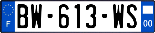 BW-613-WS