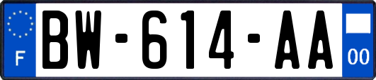 BW-614-AA