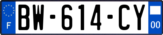 BW-614-CY