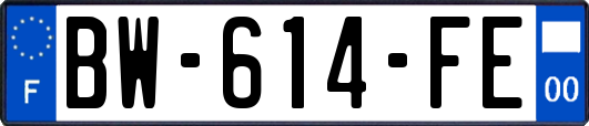 BW-614-FE