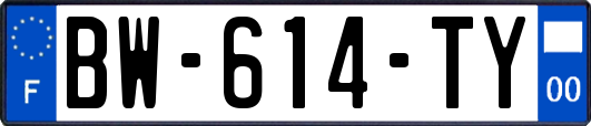 BW-614-TY