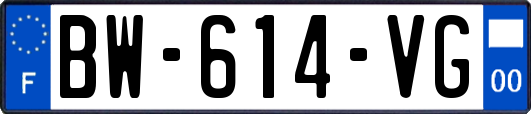 BW-614-VG