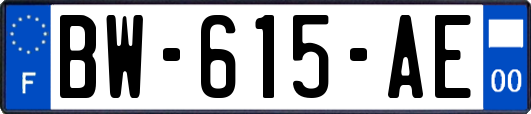 BW-615-AE