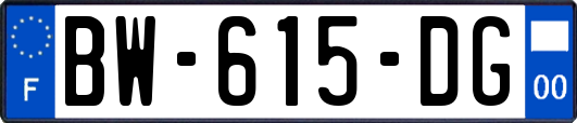 BW-615-DG