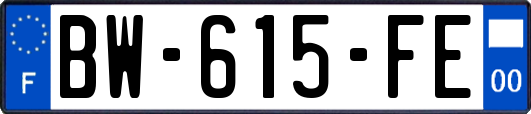 BW-615-FE