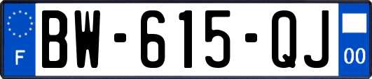 BW-615-QJ