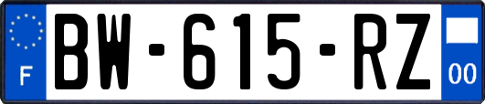 BW-615-RZ