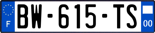BW-615-TS