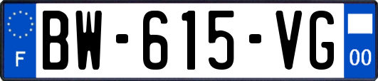 BW-615-VG