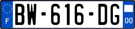 BW-616-DG