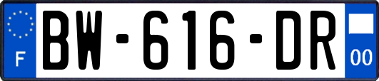 BW-616-DR