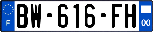 BW-616-FH