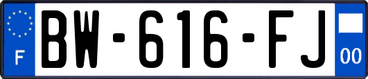 BW-616-FJ