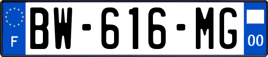 BW-616-MG