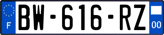 BW-616-RZ