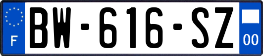 BW-616-SZ