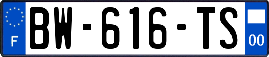BW-616-TS