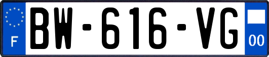 BW-616-VG